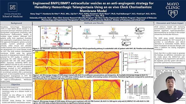 Engineered BMP2/BMP7 extracellular vesicles as an anti-angiogenic strategy for Hereditary Hemorrhagic Telangiectasia Using an ex vivo Chick Chorioallantoic Membrane Model