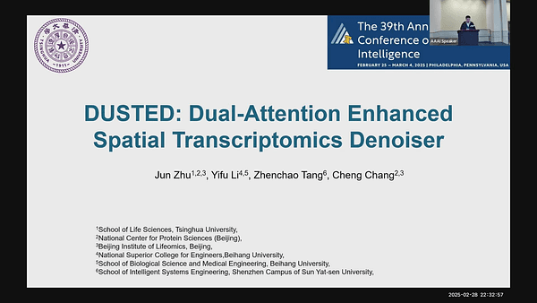 DUSTED: Dual-Attention Enhanced Spatial Transcriptomics Denoiser