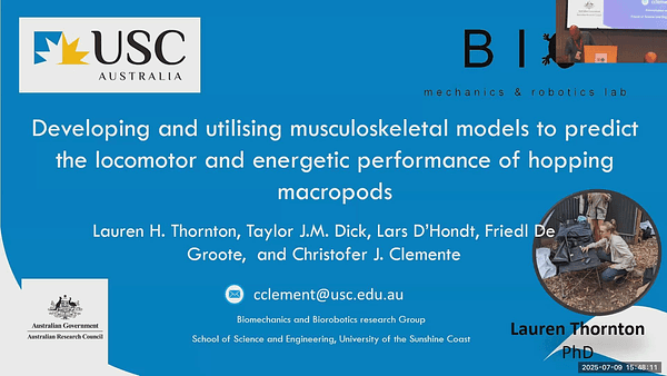 Developing and utilising musculoskeletal models to predict the locomotor and energetic performance of hopping macropods