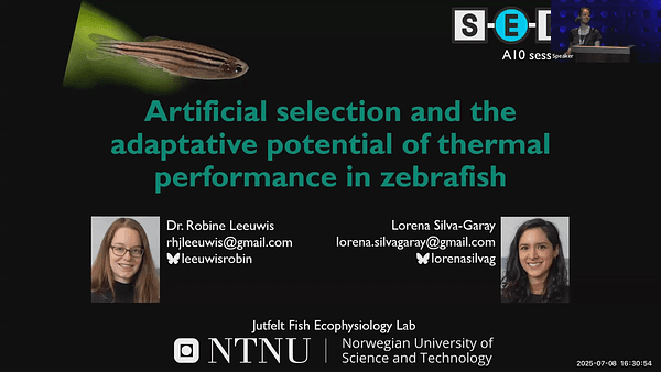 Artificial selection and the adaptive potential of thermal performance in zebrafish