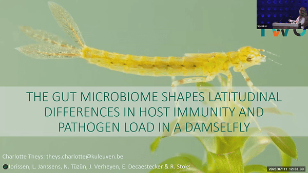 The gut microbiome shapes latitudinal differences in host immunity and pathogen load, and buffers against immunosuppression under future warming