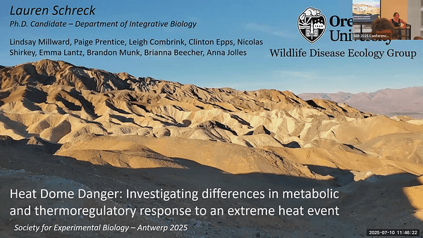 Heat Dome Danger: Investigating differences in metabolic and thermoregulatory response to a extreme heat event