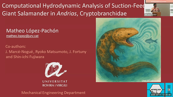 Computational Hydrodynamic Analysis of Suction-Feeding in a Giant Salamander (Andrias, Cryptobranchidae)