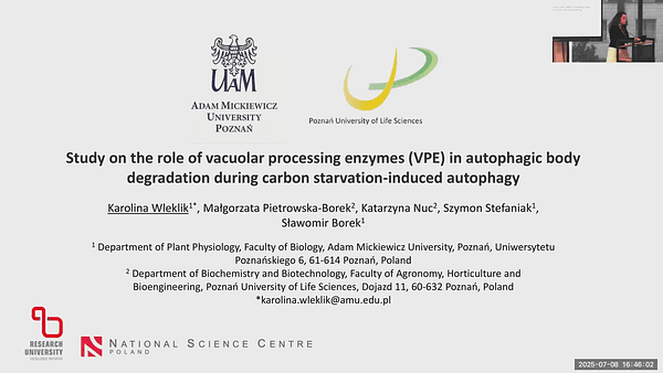 Study on the role of vacuolar processing enzymes (VPE) in autophagic body degradation during carbon starvation-induced autophagy