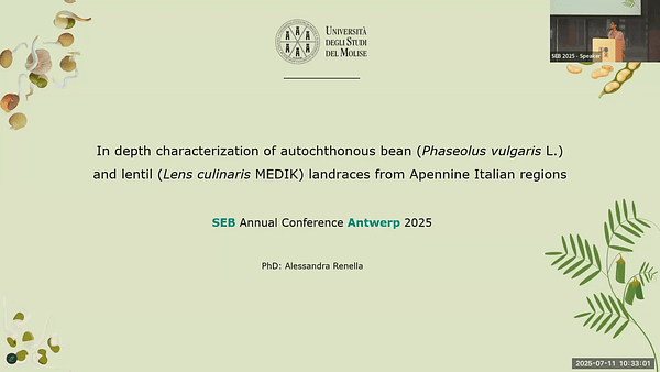 In depth characterization of autochthonous bean (Phaseolus vulgarisL.) and lentil (Lens culinarisMedik) landraces from Apennine Italian regions