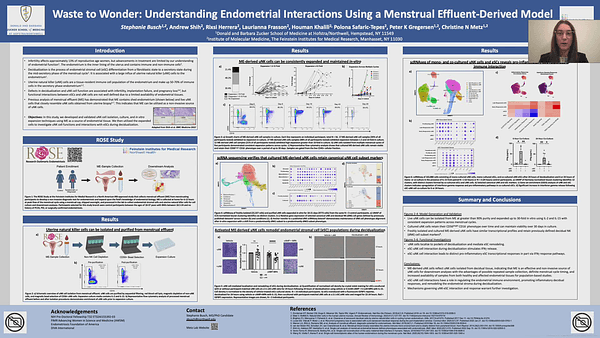 Waste to Wonder: Understanding endometrial interactions using a menstrual-effluent derived model