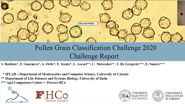 Introduction to the Pollen Grain Classification Challenge