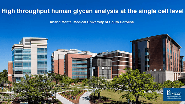 High throughput human glycan analysis at the single cell level