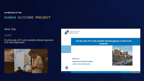 On the role of Fc and variable domain glycans in B cell responses