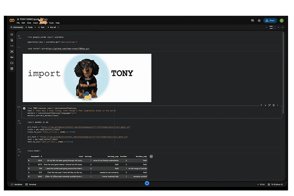 TONY: an open-source TOolkit for Nlp in psYchology