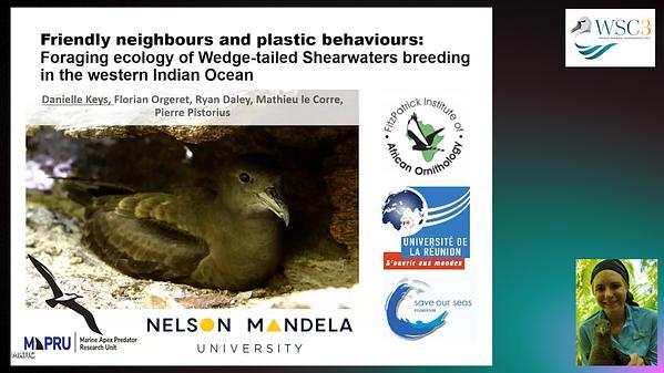 Friendly neighbours and plastic behaviours: comparative foraging ecology of Wedge-tailed Shearwaters (Ardenna pacifica) breeding in the tropical western Indian Ocean