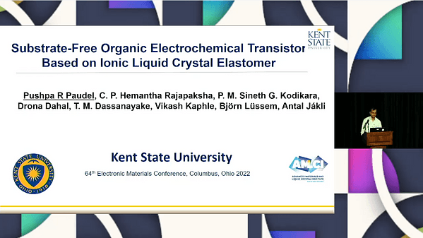 Substrate-Free Organic Electrochemical Transistors Based on Ionic Liquid Crystal Elastomer