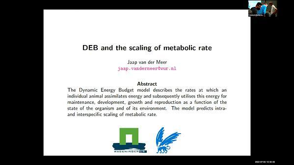 The scaling of metabolic rate: a comparison between predictions based on DEB theory and other approaches