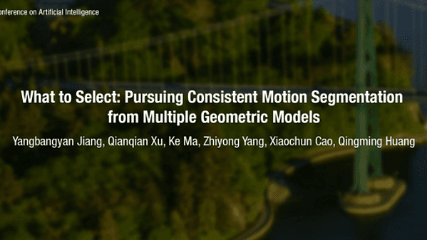 What to Select: Pursuing Consistent Motion Segmentation from Multiple Geometric Models