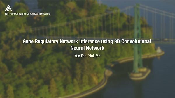 Gene Regulatory Network Inference Using 3D Convolutional Neural Network