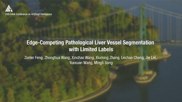 Edge-Competing Pathological Liver Vessel Segmentation with Limited Labels