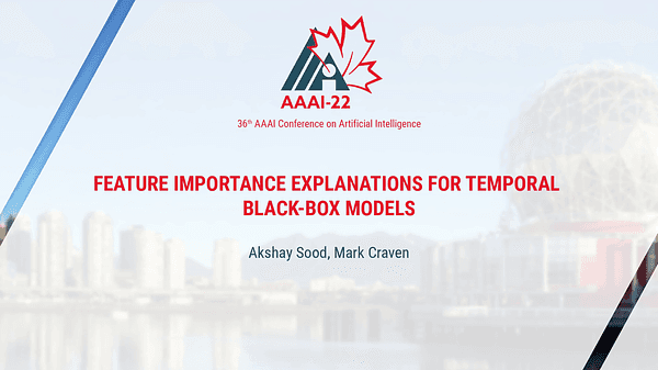 Feature Importance Explanations for Temporal Black-Box Models