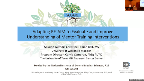 Adapting RE-AIM to Evaluate and Improve Understanding of a Mentor Training Intervention