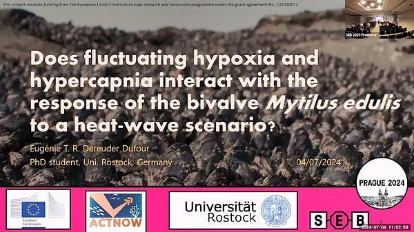Does fluctuating hypoxia and hypercapnia interact with the response of the bivalve Mytilus edulis to a heat wave scenario ?
