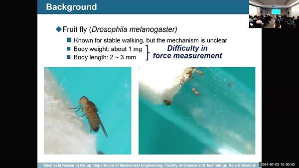 Measurement of the ground reaction force of fruit fly using a tilted biaxial force plate