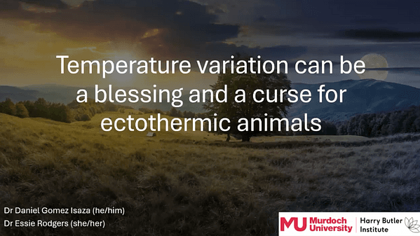 Temperature variation can be a blessing and a curse for ectothermic animals
