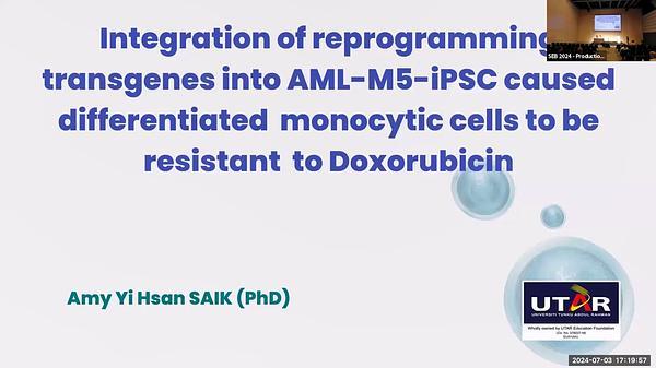 Integration of reprogramming transgenes into AML-M5-iPSC caused differentiated monocytic cells to be resistant to Doxorubicin