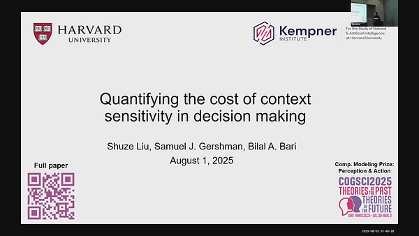 Quantifying the cost of context sensitivity in decision making