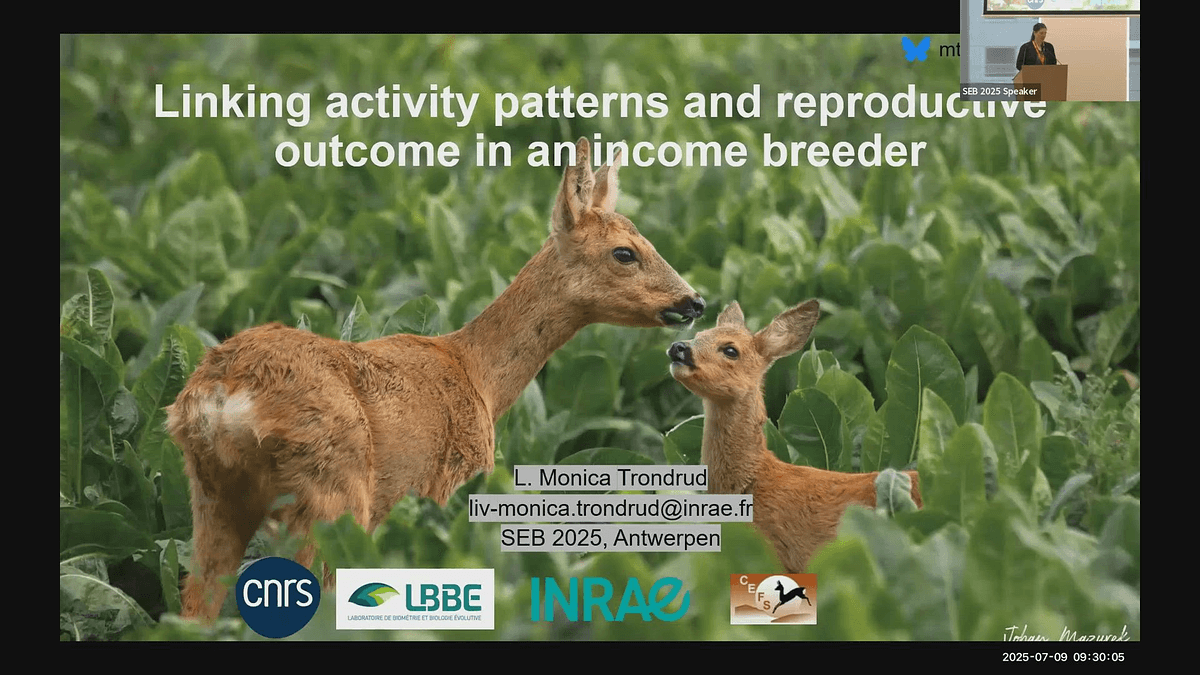 Lecture image placeholder