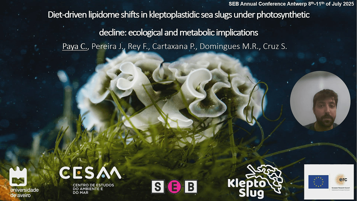 Lecture image placeholder