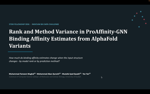 Rank and Method Variance in ProAffinity-GNN Binding Affinity Estimates from AlphaFold Variants